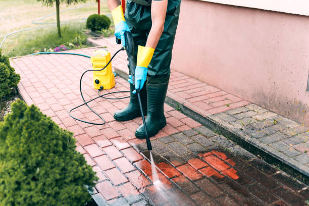 Animal Enclosure Cleaning in Akron, CO